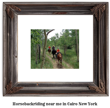 horseback riding near me in Cairo, New York